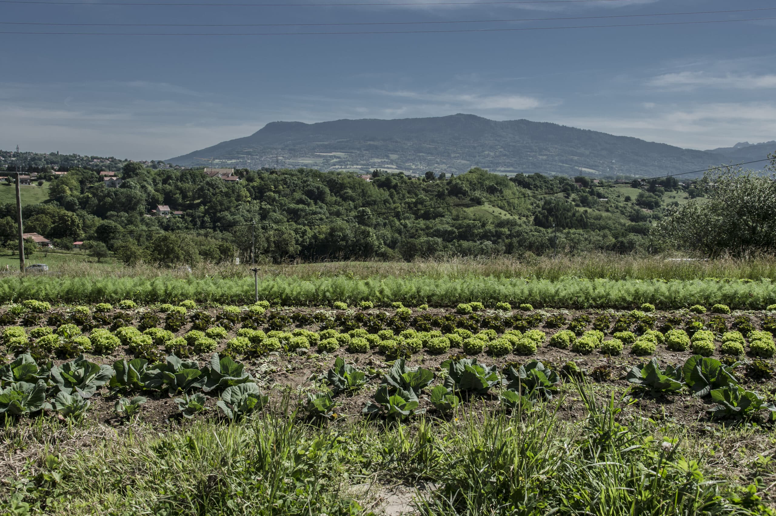 Prix de l’agriculture en transition écologique 