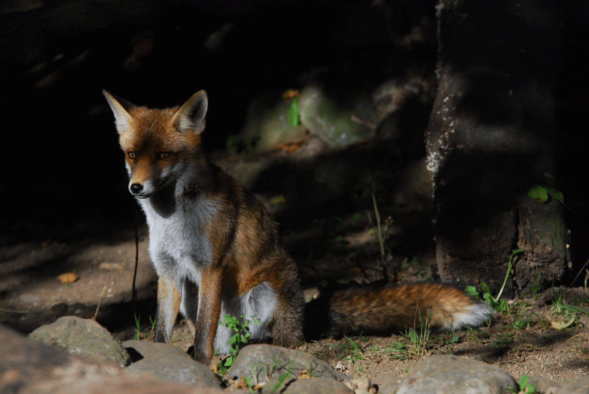 Plateforme tourisme de nature