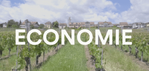 Capture Economie