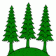 Longirod