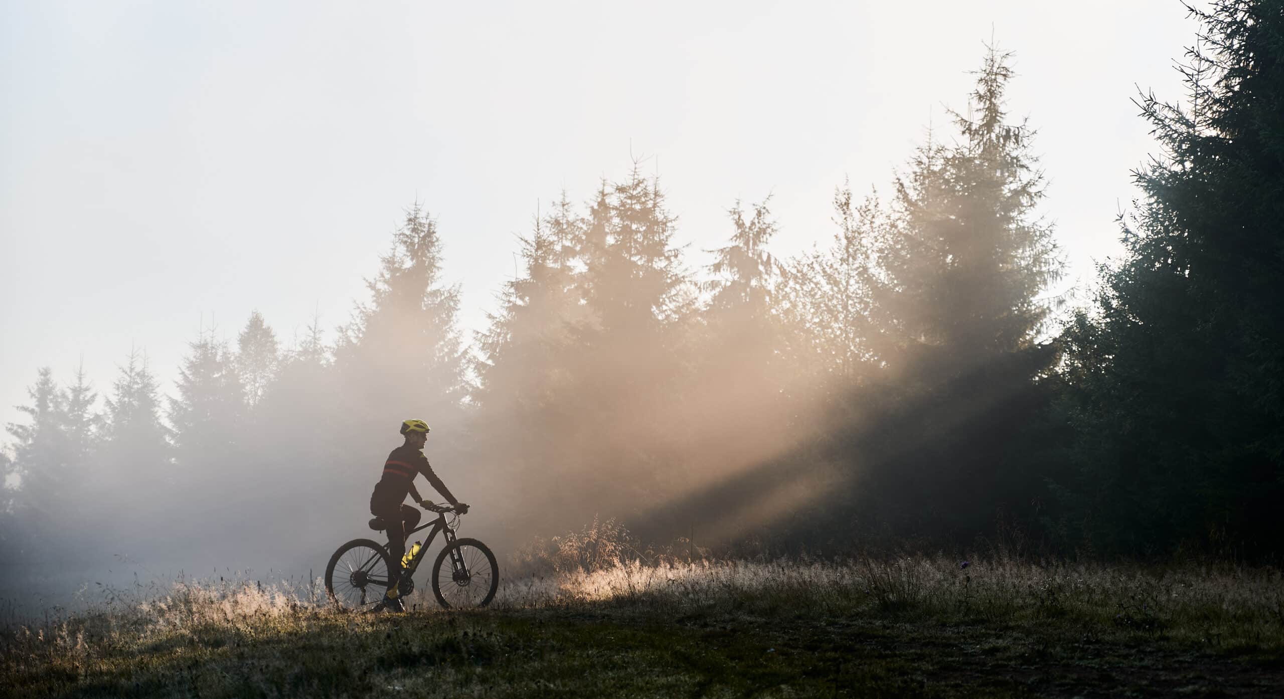 Masterplan VTT
