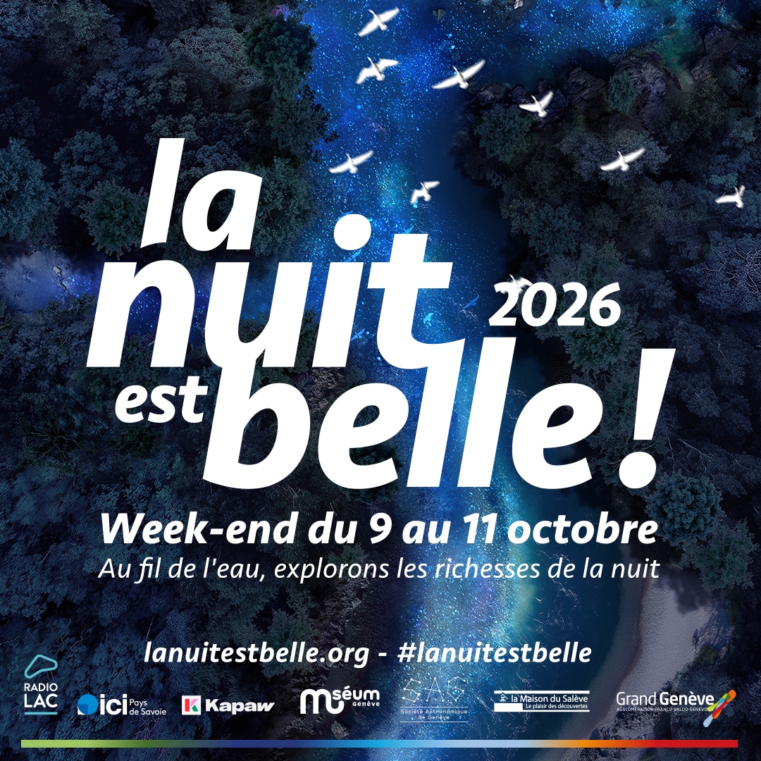 Appel à animations pour La nuit est belle! du 9 au 11 octobre 2026